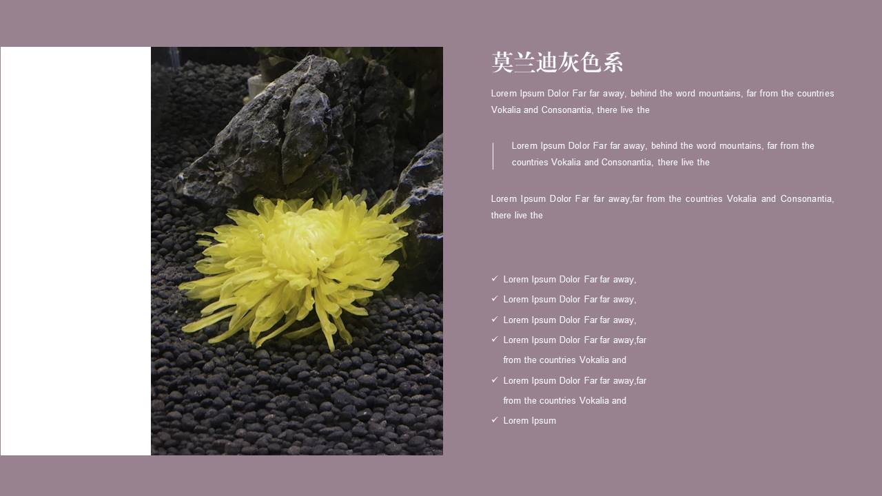 时尚风格 (71).pptx